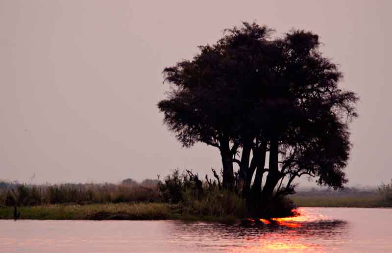 05 - Botswana - parque nacional de Chobe - atardecer